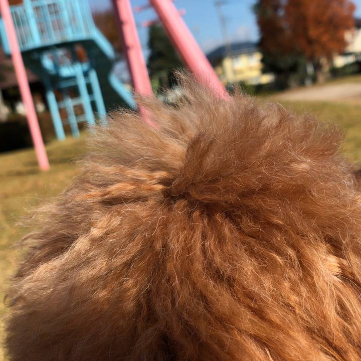 Ad897639 f968 4e04 8f18 abd02e31f60d 1542949242139