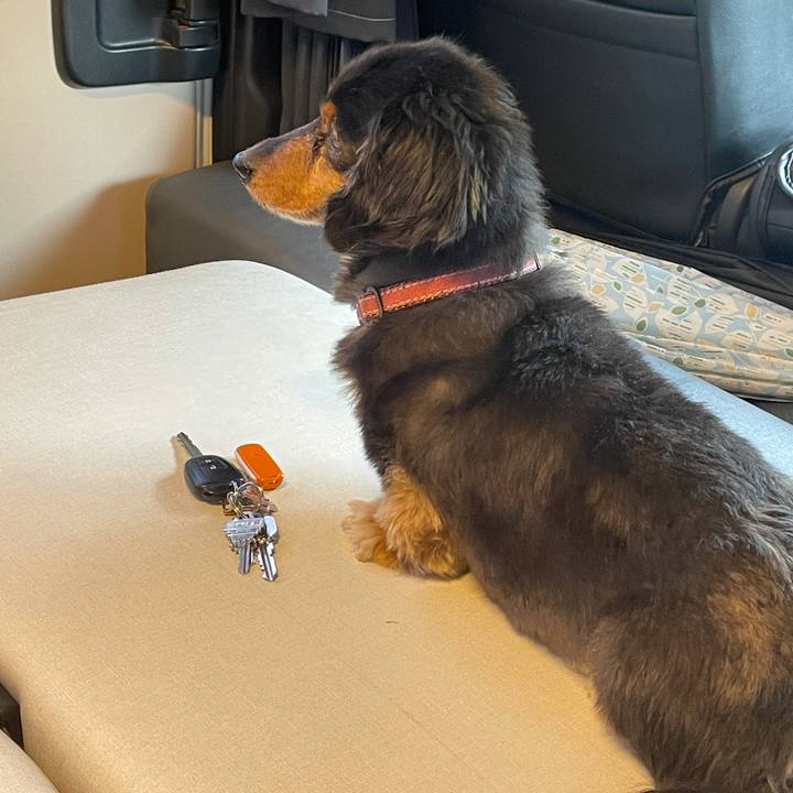 Ad899d9f 2bdb 4457 b67b 5d52f5a6b1c3 1620011676920