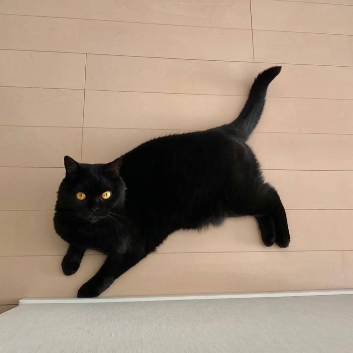 Ad89a03f 89f2 4018 895d 3ccae17f0f4c 1717145921264