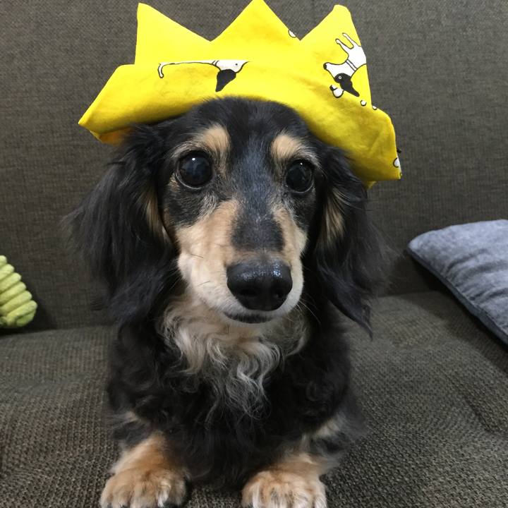 Ad89b8ca 2d97 4ab5 86aa 9bca3389a1f1 1588679115763