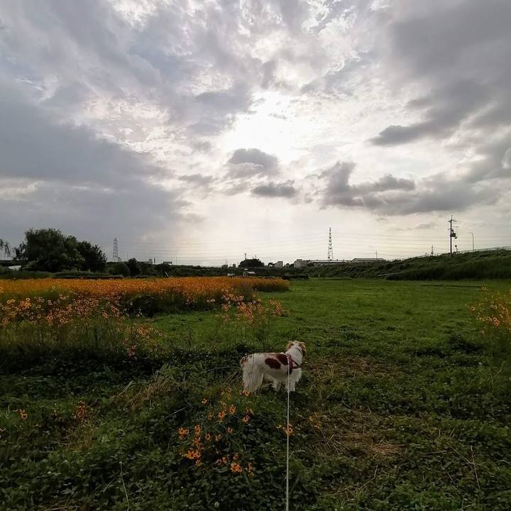 Ad89d06f 5d61 4fdc a61b d94f4f84e2d9 1625053103498