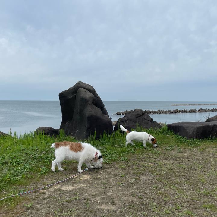 Ad8a123a 8122 4626 a80a 124306b13468 1714952414044