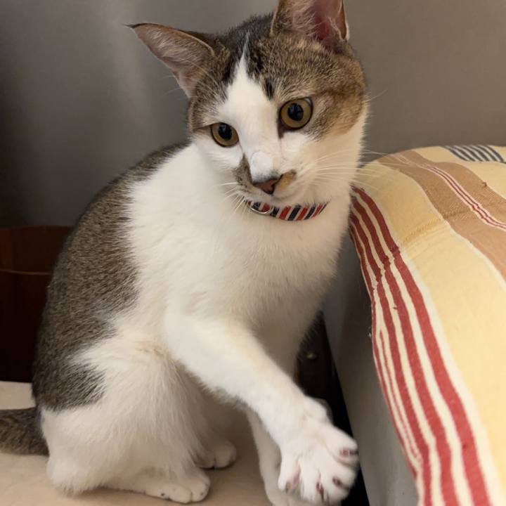 Ad8a2f4e 2393 45d0 b7ef 964fad6ceb01 1770734444567