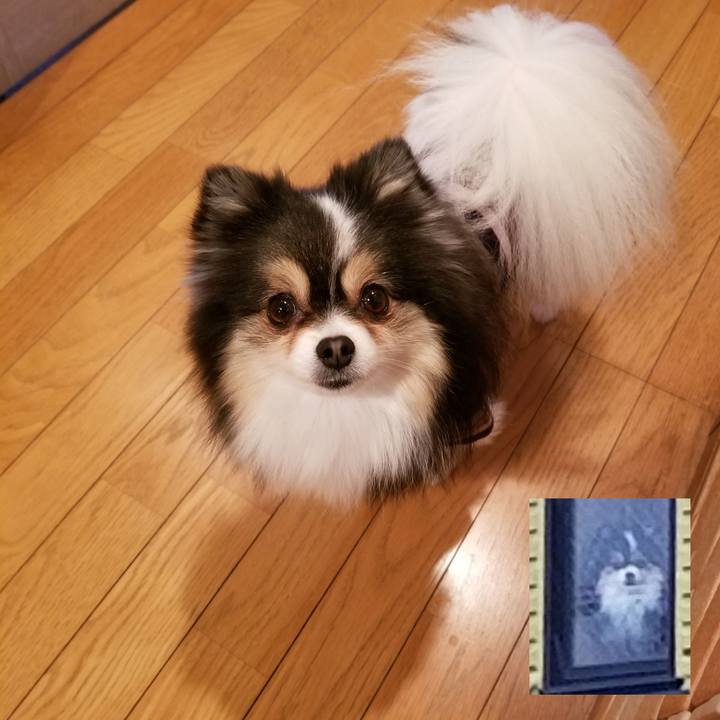 Ad8a984c c125 4257 bdbe 1bd1f5e08f70 1554851600013