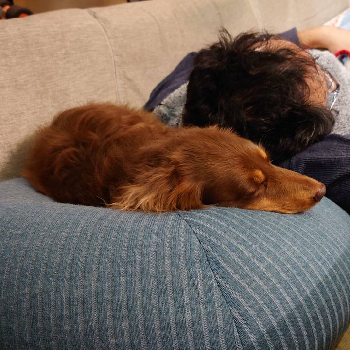 Ad8ac0de 262d 4c73 bc71 48a2b42ba92f 1607260043823