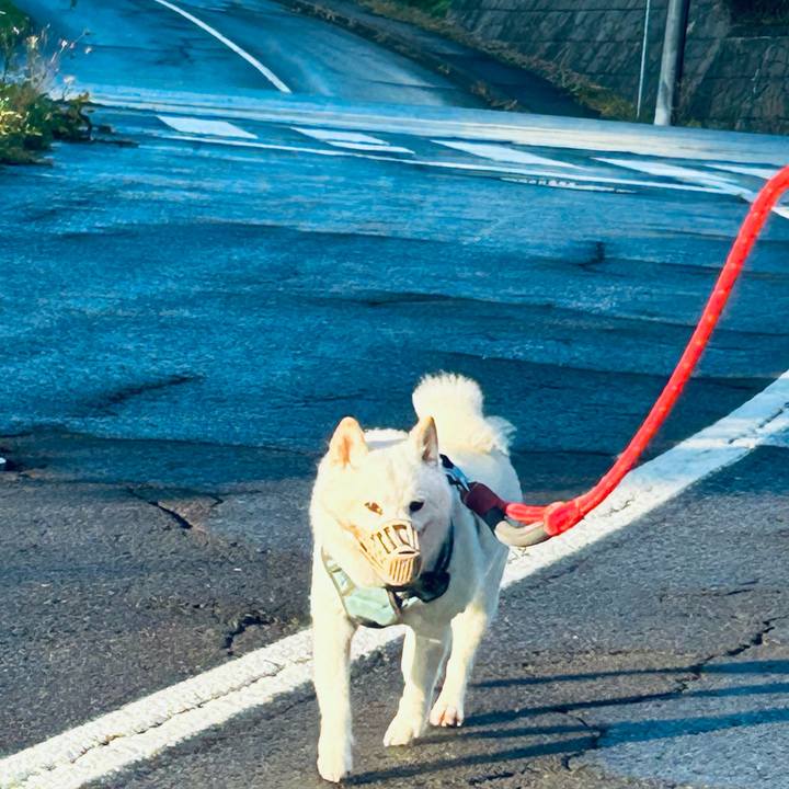 Ad8ac278 de3f 4e76 ac28 17464c9f43d0 1758923061453