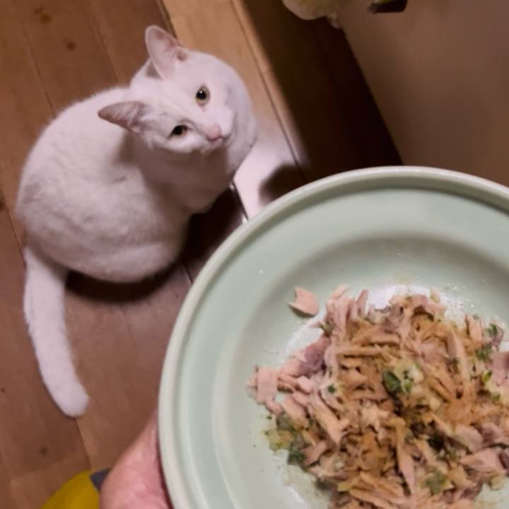 Ad8ac374 1d8d 42be b892 18bae9a6959e 1765634474317