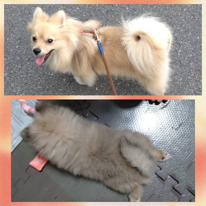 Ad8acc7b eb1c 4357 89bf 906fd4b4e31f 1759388228910