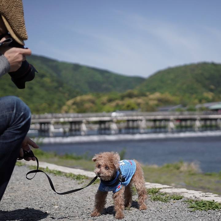 Ad8afdb7 1c62 4859 bdc6 e080c56993b8 1697253877706