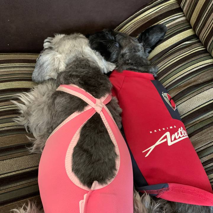 Ad8afe3d 5eb8 46eb b1c6 4c284c40cfc8 1608681305701