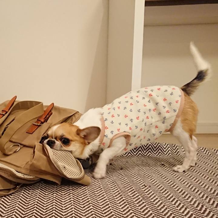 Ad8b13c3 2280 46cf 9f25 474ef3a6574a 1545815640804