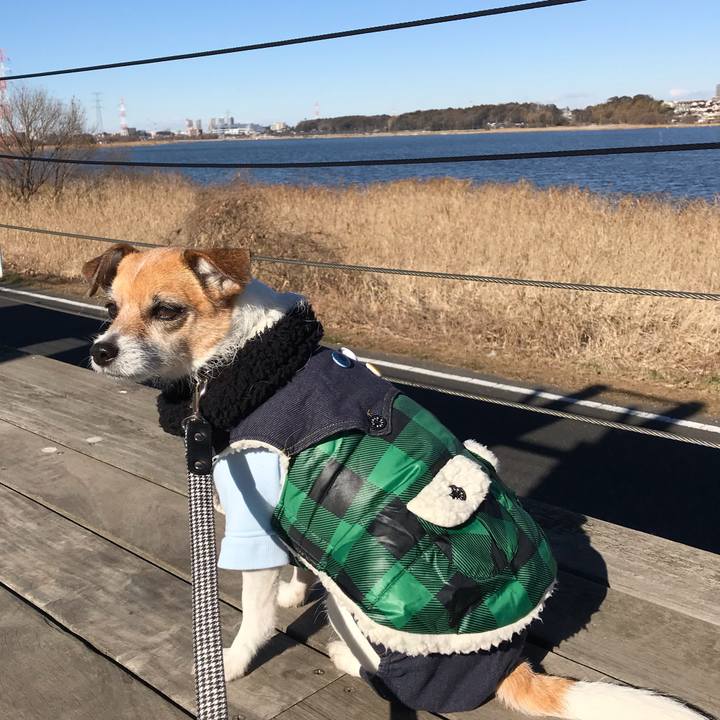 Ad8b5af9 46e6 4d9d ae2b 7de7722082ae 1546402916584