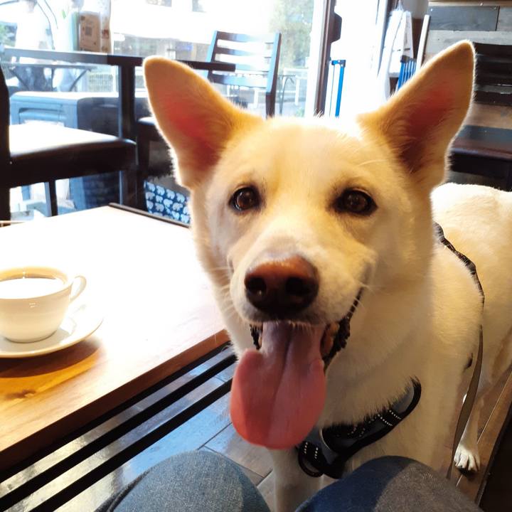 Ad8b6776 78e0 4815 b624 f59936e689cc 1665404777369