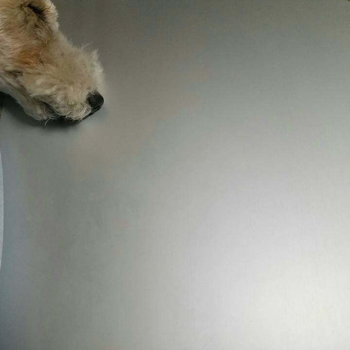 Ad8bae90 abb6 4cbf a1f6 402fda93897e 1591626976529