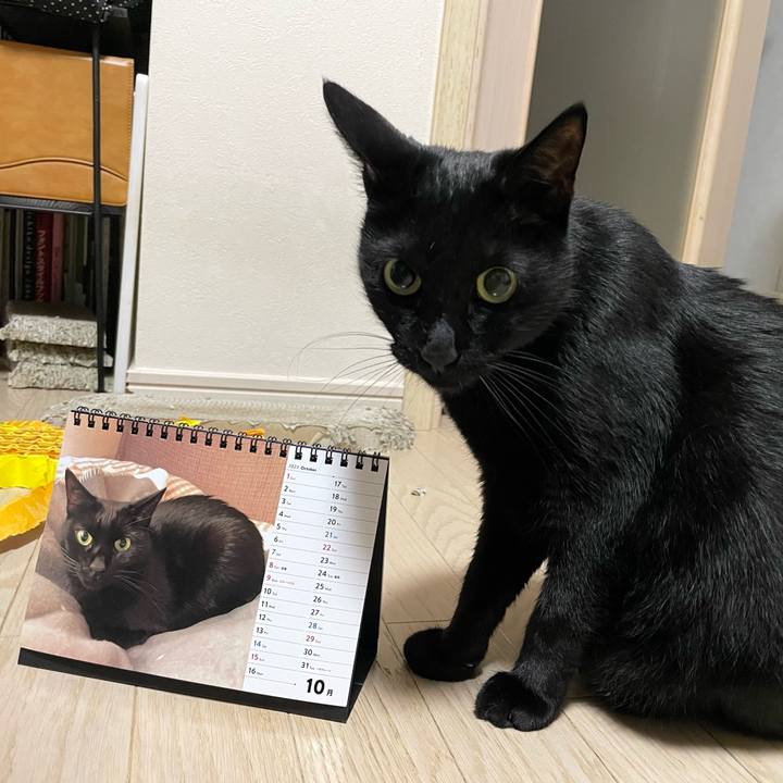 Ad8c104b 07af 401d b23d 8255b4783b01 1698758176826