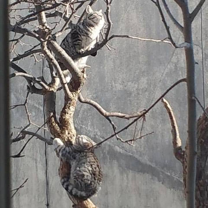 Ad8c11dd fc53 4c1a afd3 50f6002e992d 1694354630276