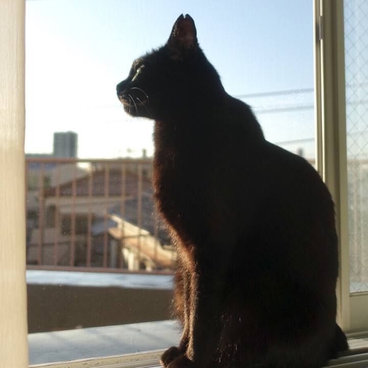 Ad8c14ff 97d7 4c2b 85b1 4071ca71b452 1578134453469