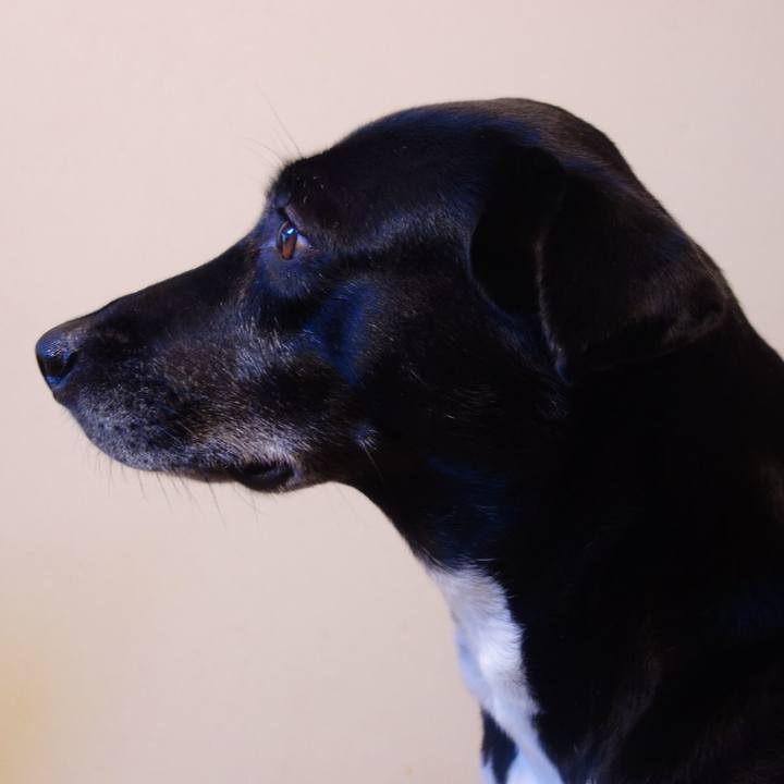 Ad8c15cd 4c4e 4b06 a390 aea8ff5b2735 1695603001479