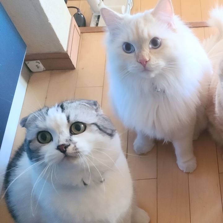 Ad8c84c9 5c31 4abc a7f2 94b94a8e16c0 1673433952849