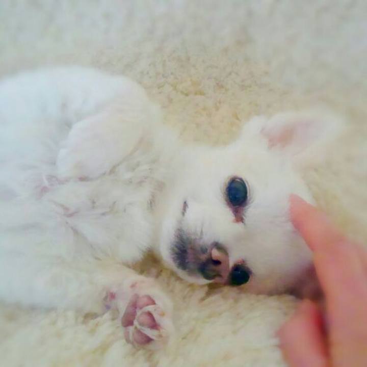 Ad8c8a28 a326 43fb 8f5e 5fc458da9c3b 1555495553960