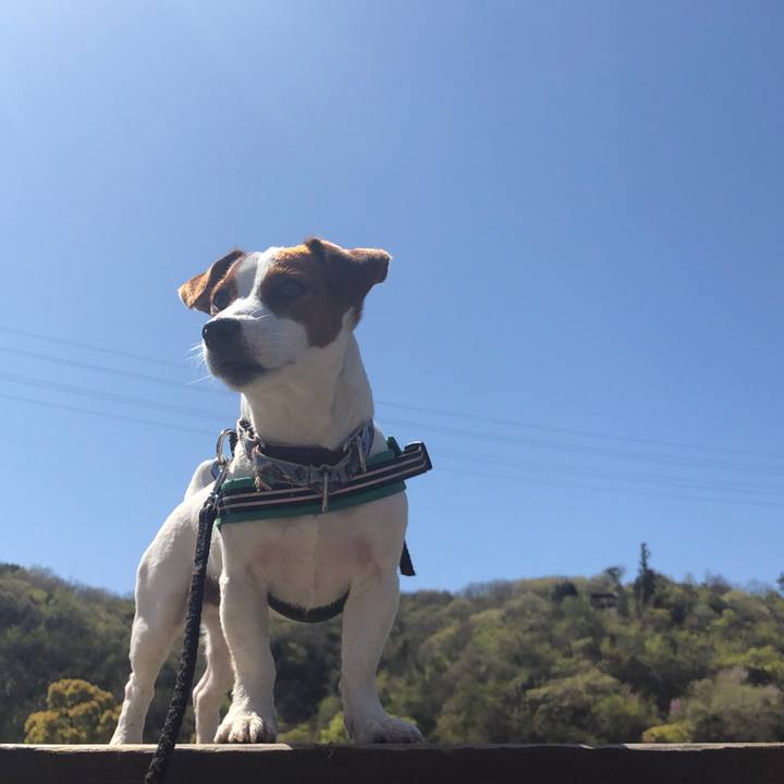 Ad8c992b 3eb3 4d29 a46a cabf52e8f113 1555746351886