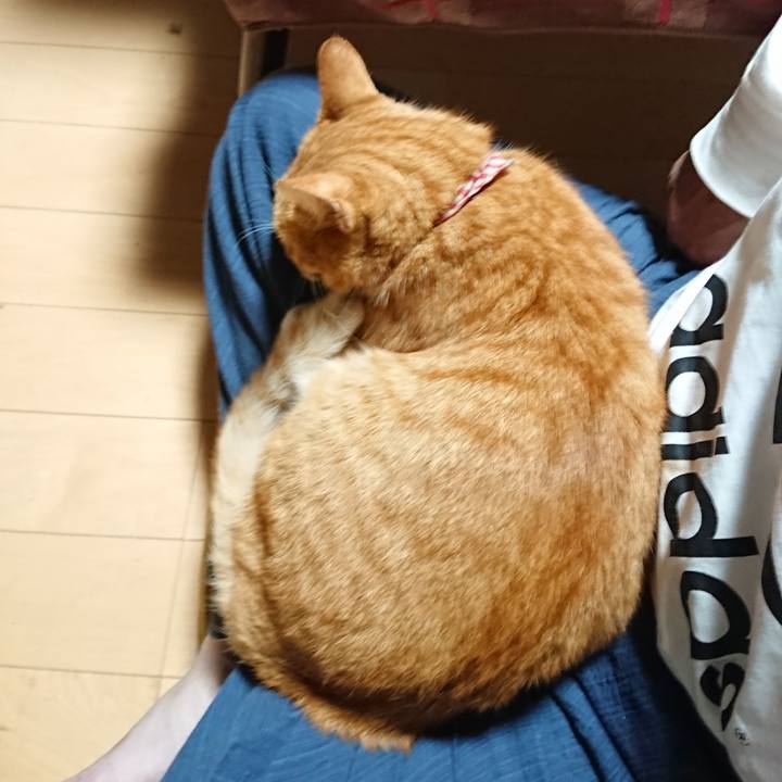 Ad8c9c76 076a 4ee3 9c69 3ecf89565edd 1600721658913