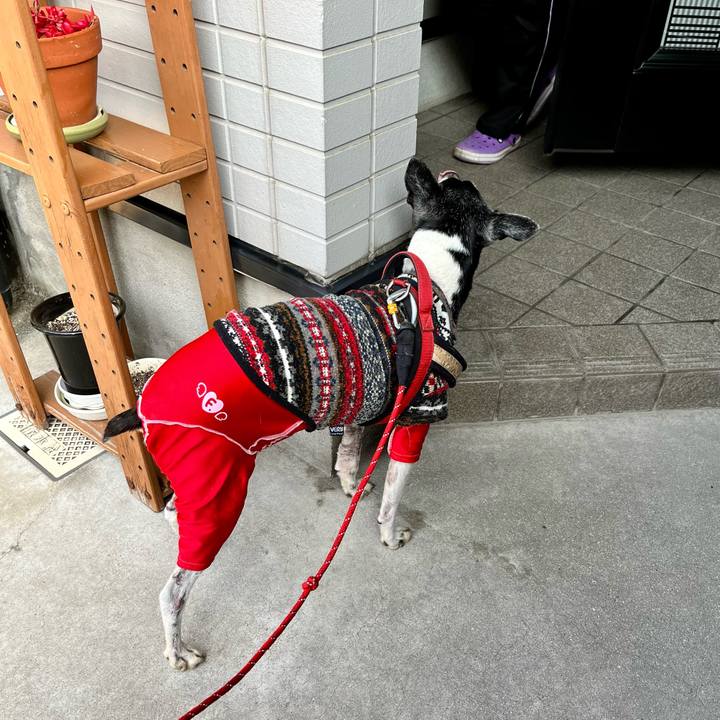 Ad8cb143 30f5 4afa a1f4 622c0cf8013d 1647047816331