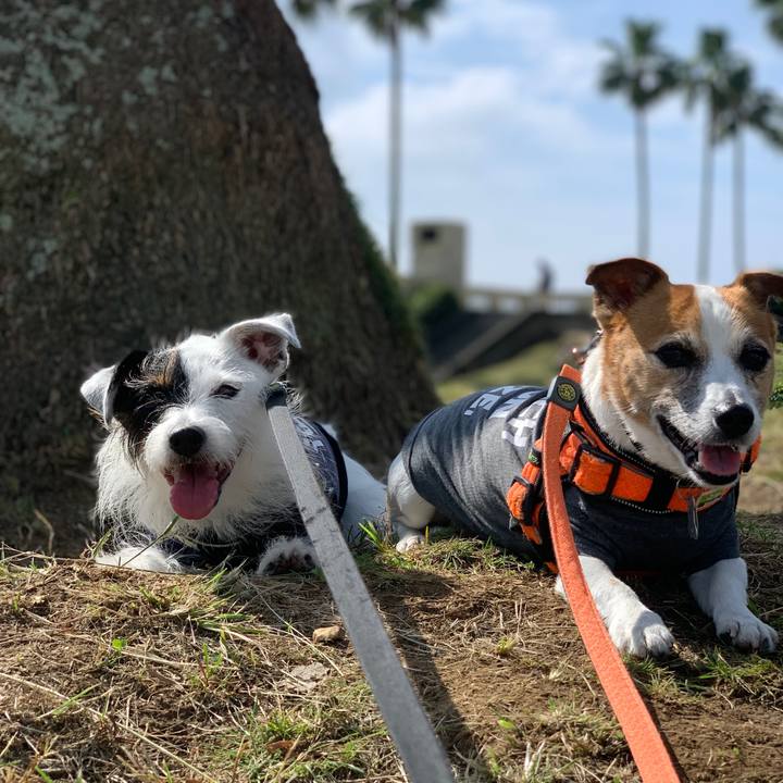 Ad8d0f33 f5b7 4ea6 ae45 acf85827a42b 1633742636564