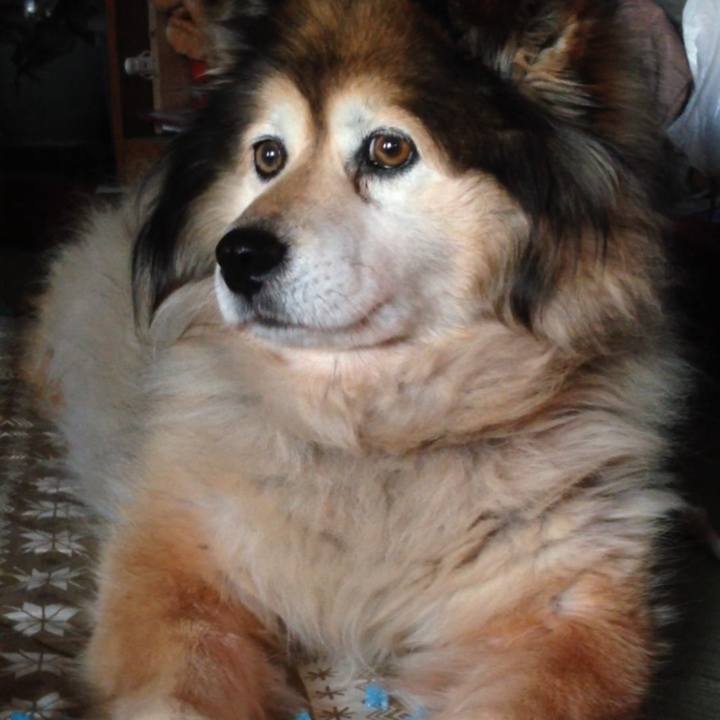 Ad8d1c9f ac76 40df 87f4 c16d737569d8 1574220407524