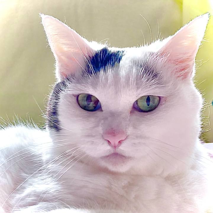 Ad8d6e6f 64f0 4658 816c 62124f98cfe1 1665121245462