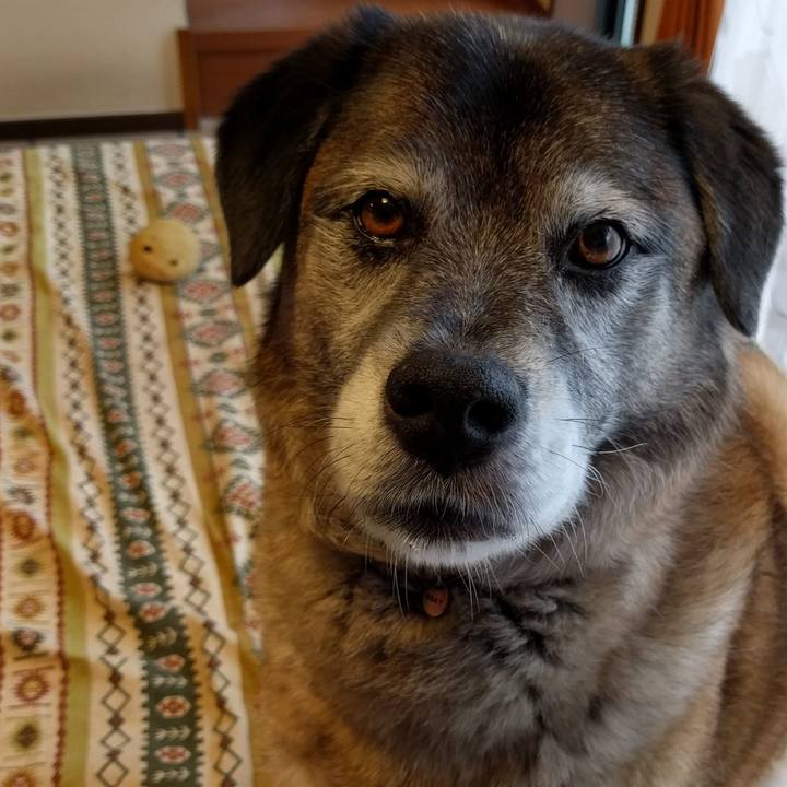 Ad8d9c76 4d66 48e1 8b65 e29666991d2c 1529562463162