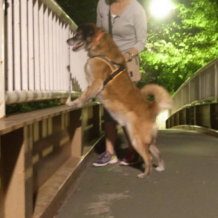 Ad8da830 d532 4180 bbd8 a202edcc258c 1586398650484