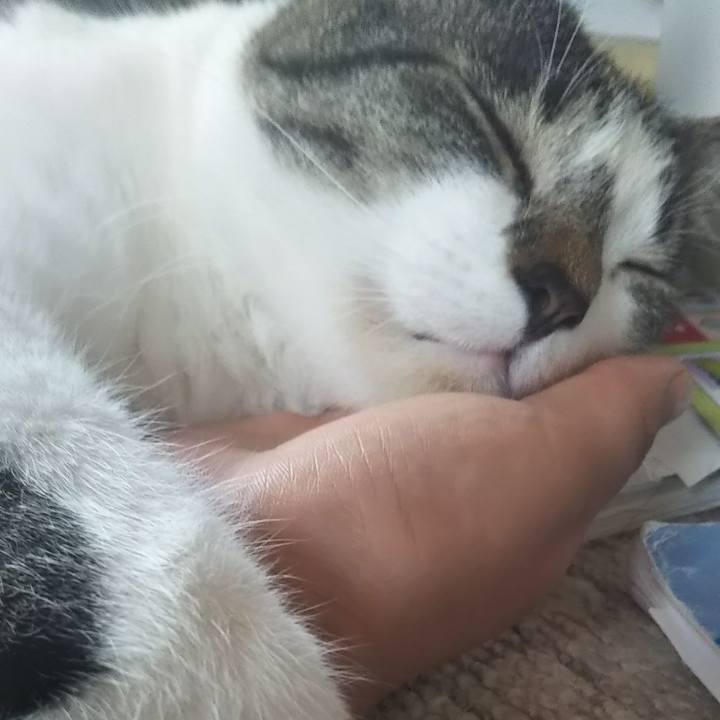 Ad8da8f0 b5b2 48c3 849e a5f5b1e0fe74 1603589348883