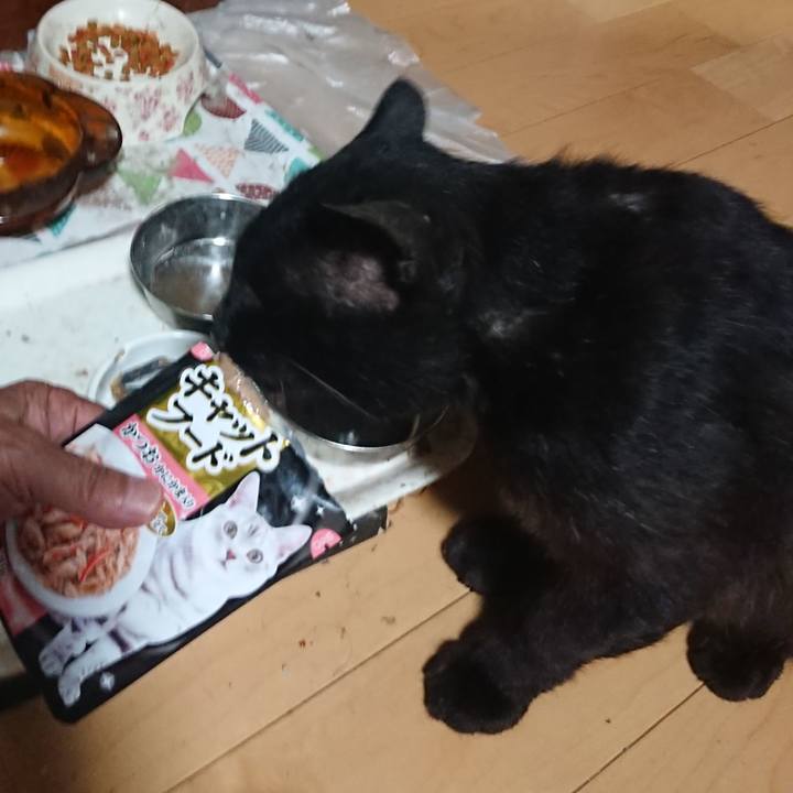 Ad8dc311 85b0 49e3 b7ab 37d2c6bce23c 1626089550529