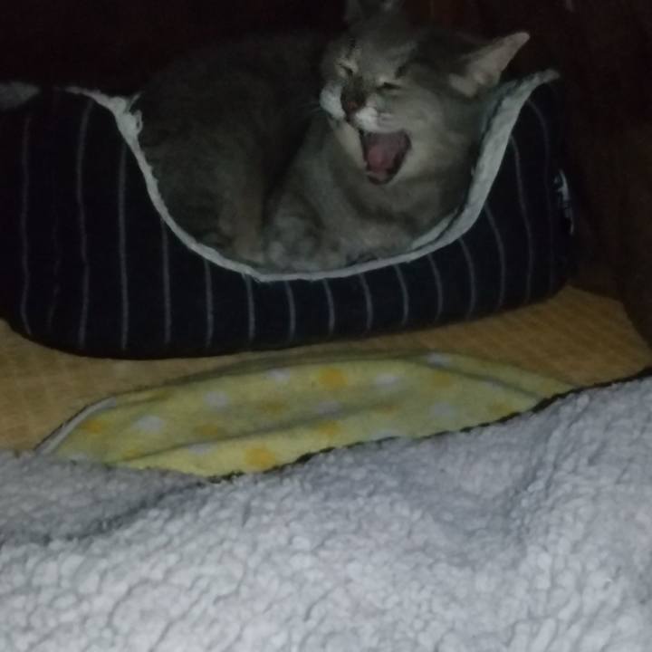 Ad8dc3ce 0467 4c21 9c1b 881604b6d138 1676009955454