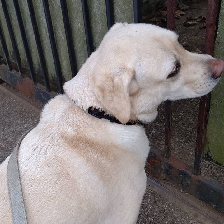 Ad8dfd59 23a9 4be1 a3d8 b21fefea45d2 1634347239770