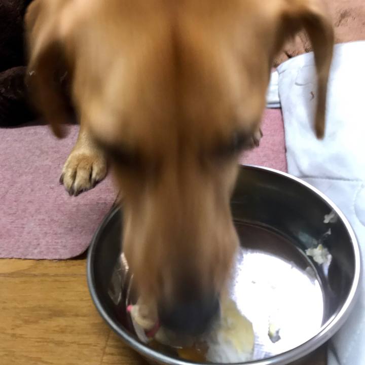 Ad8dff54 c4a2 46b1 b814 271baedde502 1514029389816