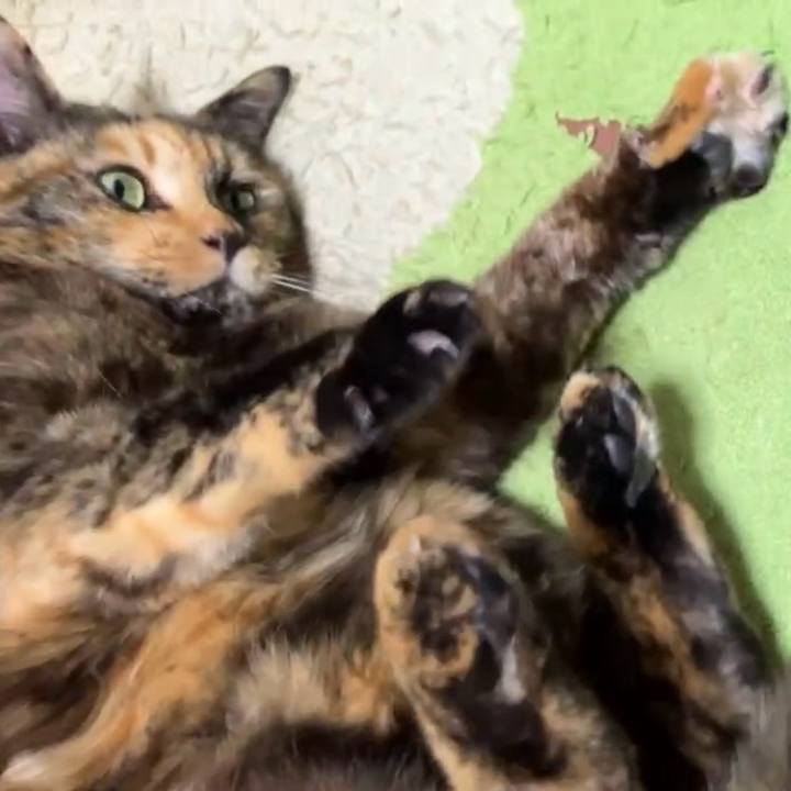 Ad8e068d b342 4455 8d88 f1b823d9a05a 1736542239786