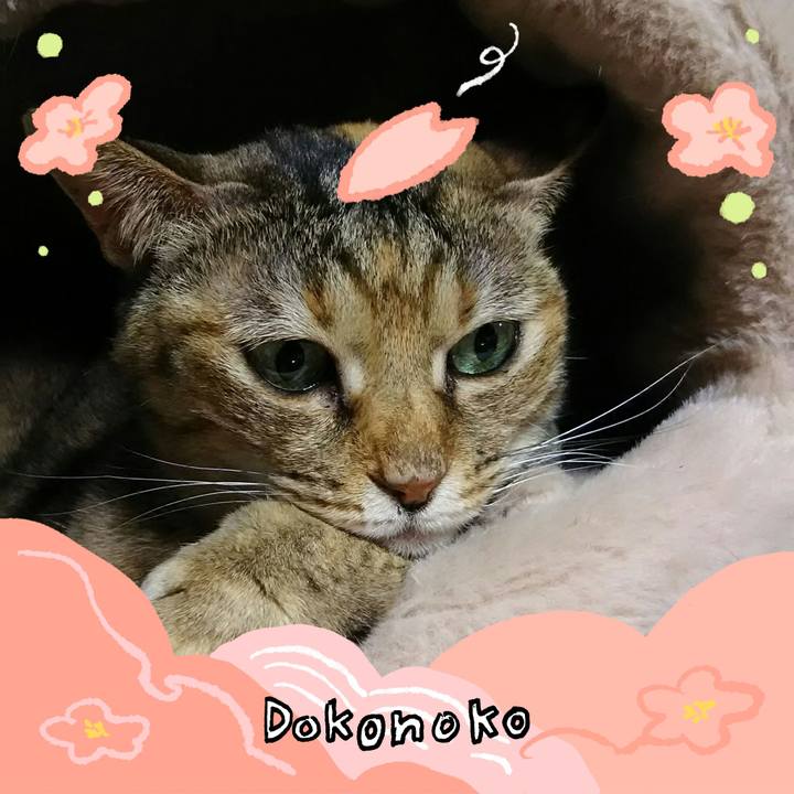 Ad8e2c1f e485 4f05 aa1c 0846701b895c 1775222152709