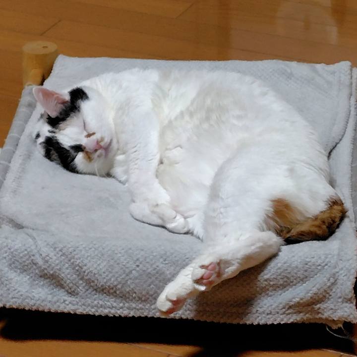 Ad8e5c32 9fc2 4d30 a126 8712ef8b26a8 1769003176166