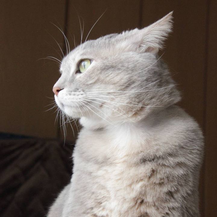 Ad8e69b1 7943 415b bdb6 7597fa1517c7 1609325967205