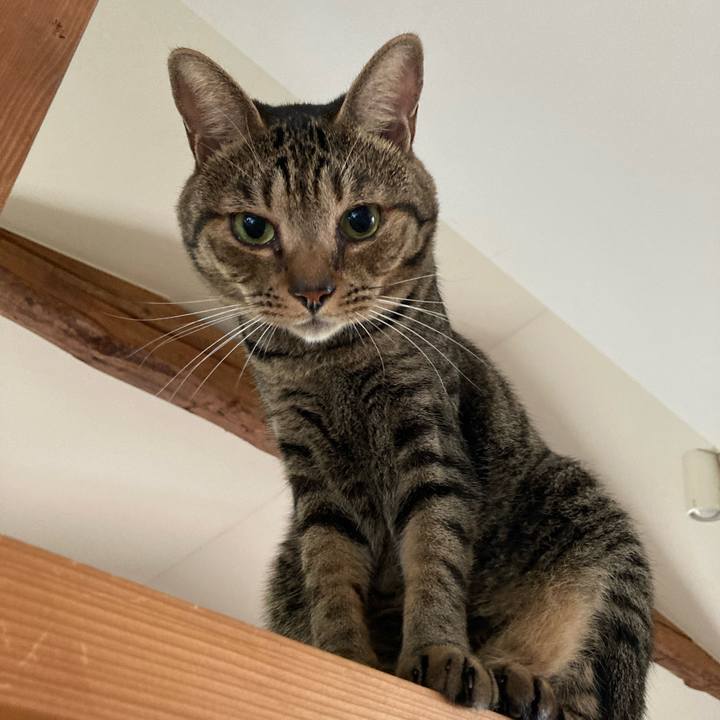 Ad8e7d1f 21a9 4765 b0e4 efa320622abf 1723933317715