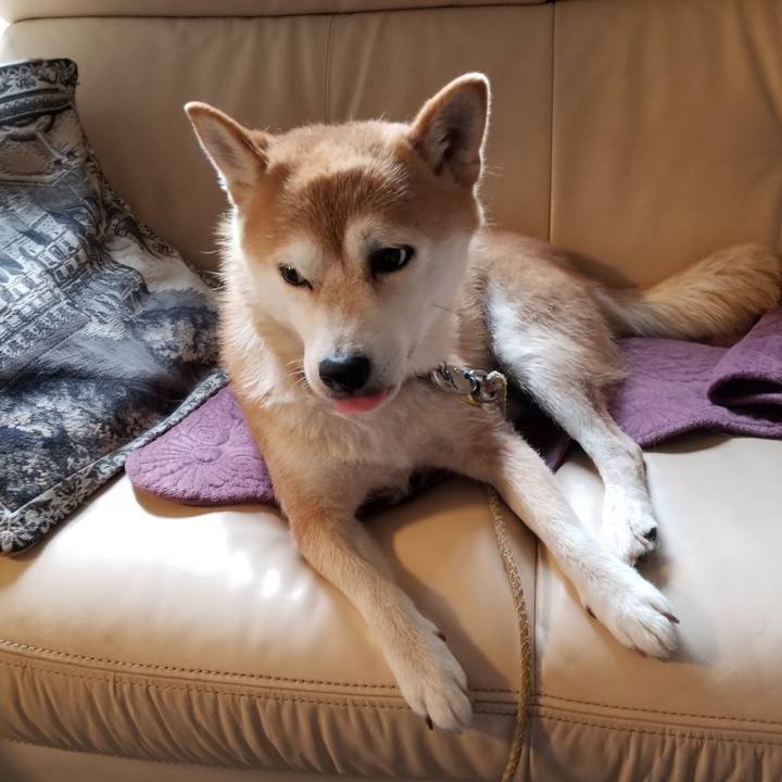 Ad8e9147 db98 49bc a1f1 f2e5579d3a74 1564116569799