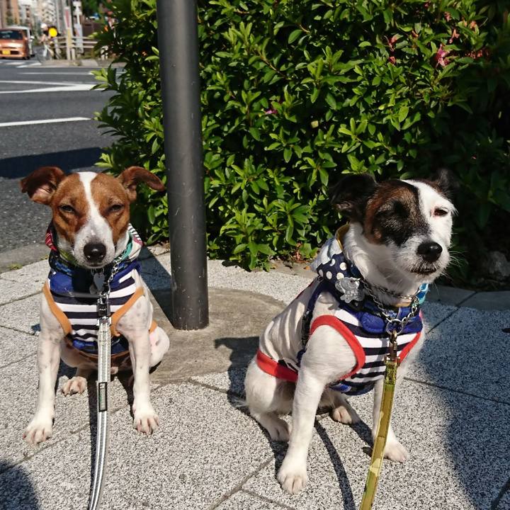 Ad8e981e 8b59 4c0d bb5a 616eeb7f0b0e 1558824971712