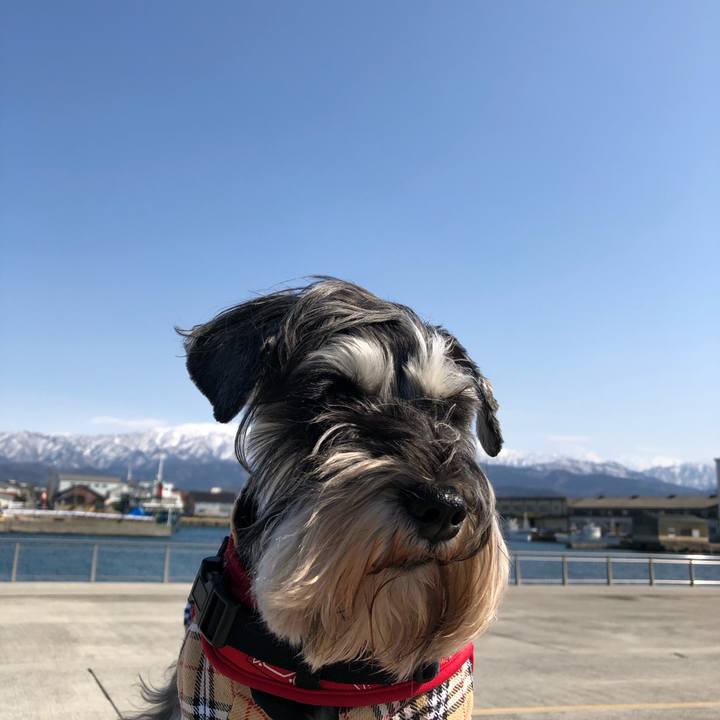 Ad8e98f2 b1c0 4d0f 8146 cb0af4c6edb0 1582547672023