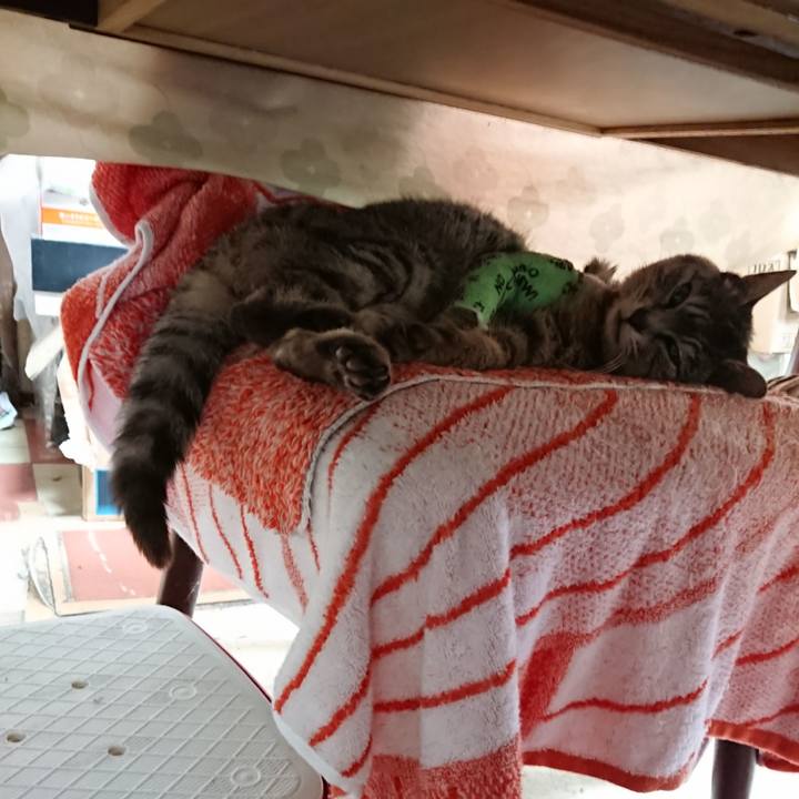 Ad8ea559 cfdf 4af9 8b3c 3b87218cfa83 1587255813671