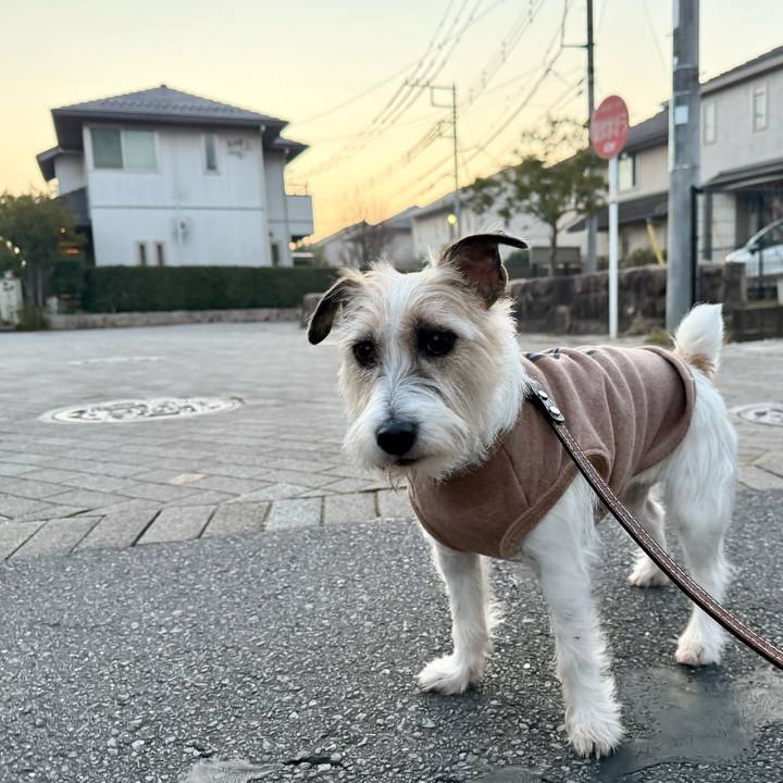 Ad8eb5a7 e8bc 4cfa a08a 96113f19cc7f 1768900241476