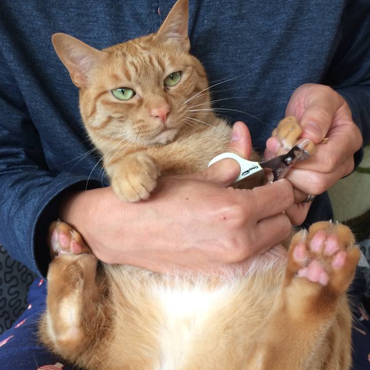 Ad8ed04a 299b 476d b3dd 0d64a1b9ce25 1526777967877