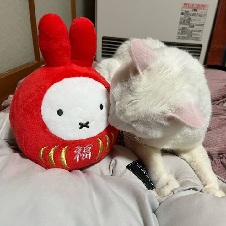 Ad8eef3b 9cba 4fc9 8154 2fab15682f4d 1669725802238