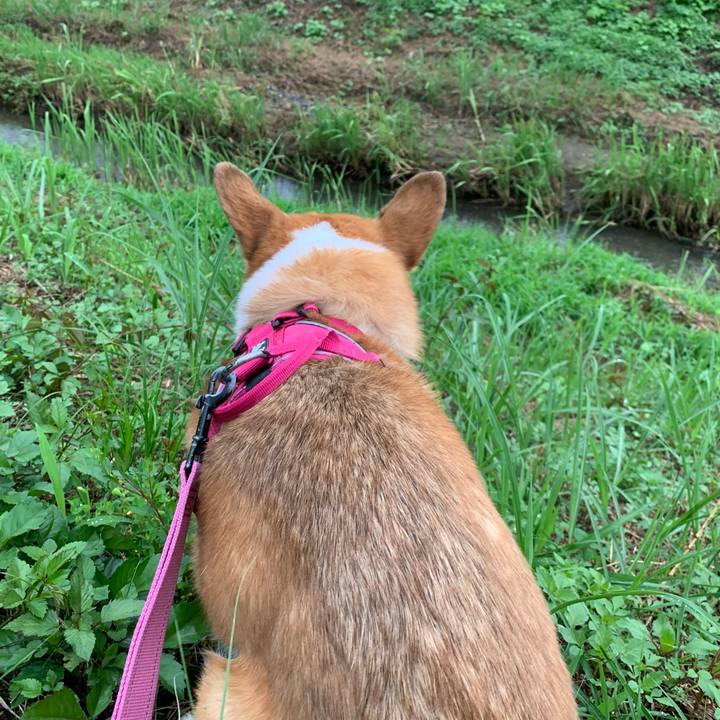 Ad8f0484 dd5c 4553 be6d 2effdb730b0d 1689195392058